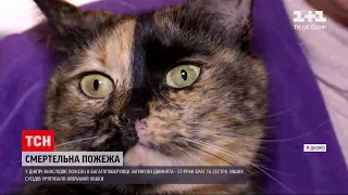 Під час пожежі у Дніпрі загинули двійнята, а решту сусідів урятувала кішка | Новини України