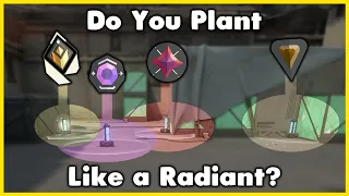 Do You Plant Like A Radiant?