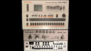 roxxx303   - A.C.I.D.  - Roland TB-303 + TR-707