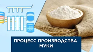 Процесс производства муки