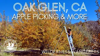 Oak Glen | Apple Picking