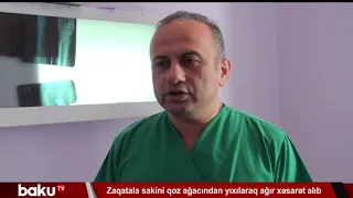 Zaqatala sakini qoz ağacından yıxılaraq ağır xəsarət alıb