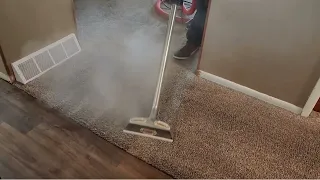 Restoring Carpet Destroyed by DOGS