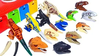 Learn Dinosaur names with Jurassic world lego dinosaur's head toy 쥬라기월드 레고 공룡 블럭 장난감