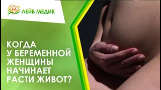 🤰 Когда у беременной женщины начинает расти живот?