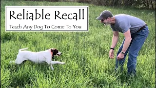 Dog Training:  Reliable Recall. Teach any dog to come to you.