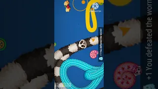 🐍WormsZone.io ❤001 Slither Snake Top01 /Best World Record Snake Epic cacing WormsZoneio #620