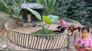 How to Build a Bamboo House for Dogs 2023 l Lý Thị An - Ep.32