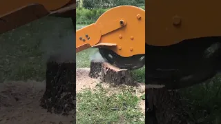 Check out the Trackless Stump Grinder in Action