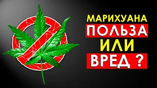 Что Будет с Телом, Если Курить Марихуану Каждый День (Польза или Вред?)