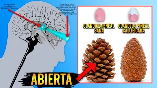 “Sólo Ocurre Cuando Cierras los Ojos" - ( EL RESULTADO TE HARÁ ADICTO )