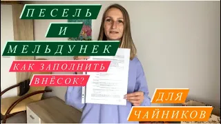 ПЕСЕЛЬ и МЕЛЬДУНЕК для чайников. ИНСТРУКЦИЯ. Как сделать? Как заполнить внёсок?