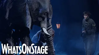 The Magician's Elephant musical | 2021 footage trailer