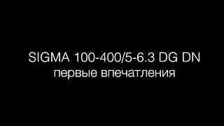 Sigma 100 400 первые впечатления