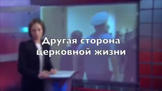 Свищеники живут на деньки людей