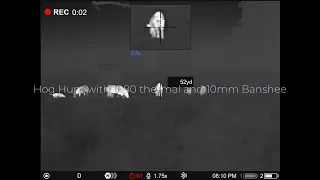 Thermal Hog Hunt with 10mm Banshee