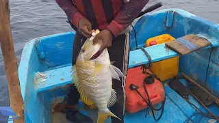 Fishing Catching  90 Meters Of Water # AMAZING FISHERMEN HANDLINE FISHING Indian Ocean