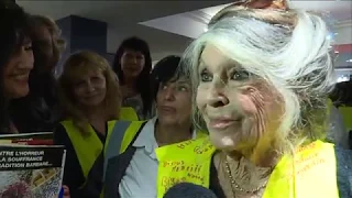 Brigitte Bardot, invitée-surprise d'une réunion de gilets jaunes dans le Var