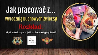 Jak pracować z Wyrocznią - Rozkład dla Ciebie