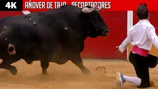 At 46 years old and doing this in front of the bulls ▪ Añover de Tajo ▪ Free cropping ▶ 4K