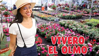 Vamos al VIVERO MÁS GRANDE de esta ciudad MILES DE PLANTAS para volverse loco 😵‍💫 │Candy Bu