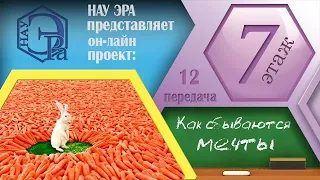 Как сбываются мечты? (Архив проекта #7этаж)