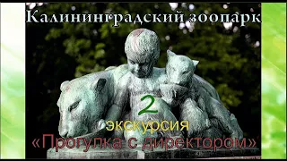 Калининградский зоопарк 2019 .Экскурсия «Прогулка с директором»