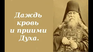 Даждь кровь и прими Духа. Оптинский старец Анатолий(Зерцалов).