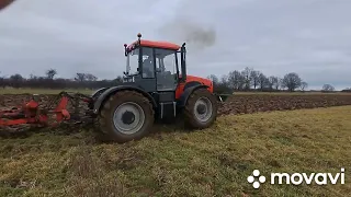 orka ślązak na moim terenie