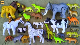 Zoo animals-Find Cow dog cat horse lion tiger camel sheep elephant wolf panda..