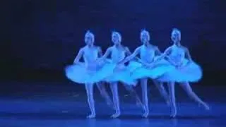 Four Swans - Swan Lake