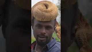 A man wears a snake as a hat