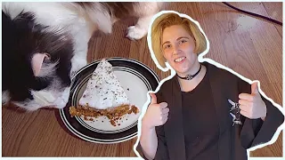 A Whole Video With My Cats - Making Cat Cake