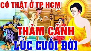 100% Có Thật ở TP HCM, THẢM CẢNH Kinh Hoàng Của ÔNG TRÙM Xã Hội Đen - Truyện Nhân Quả 2023