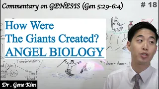 How Were The Giants Created? ANGEL BIOLOGY (Genesis 5:29-6:4) | Dr. Gene Kim