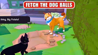 Fetch the Dog's Balls - Little Kitty, Big City