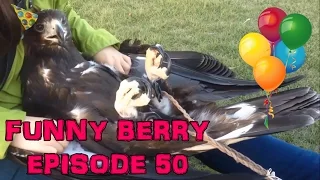 Weekly fails 2015, funny interesting videos - Epic Fail Win || Funny Berry Compilation Episode 50