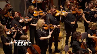 Stravinsky – The Firebird – performed from memory – Baltic Sea Philharmonic – Trailer