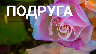 Любимая подруга, я с тобой, моя дорогая, (стихи тебе).