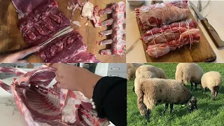 Autonomie en viande : tentative de découpe de la carcasse et des abats de mouton.