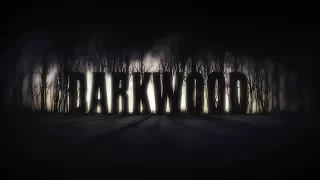 №3 Darkwood - Сквозь непроглядный лес