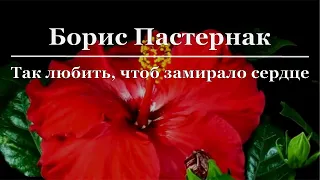 Борис Пастернак - Так любить, чтоб замирало сердце