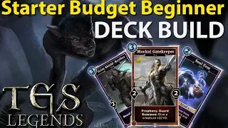 Starter Budget Beginner Deck | The Elder Scrolls Legends Beginner Helpline