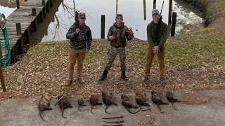 Nutria Rat Hunting in the marsh (RATS EVERYWHERE!!)