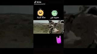 بقرة يقاتل رجل