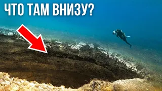 Можно ли выжить на дне Марианской впадины?