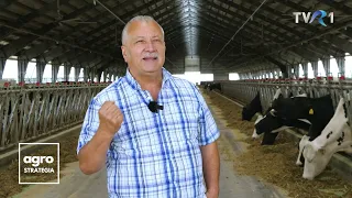 În ferma lui Gavrilă Tuchiluș, vacile dau o producție de 36 l/zi de lapte premium