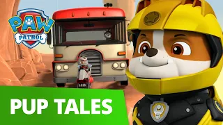 Wild Cat and Moto Pups Save a Tour Bus 🚌  | PAW Patrol Rescue Episode | Cartoons for Kids!