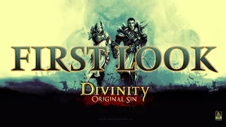 Divinity: Original Sin - First Look