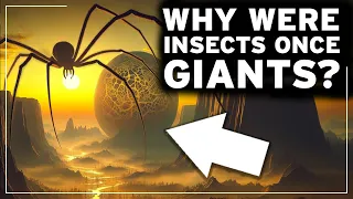 What was the Earth like in the Age of GIANT INSECTS ? The Most Amazing Prehistoric Secrets - DOCU